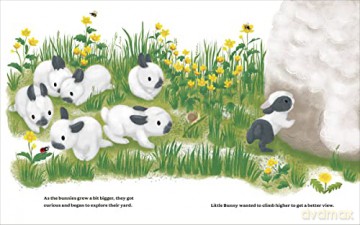 The Cutest Brave Little Bunny - Joy Steuerwald [KSIĄŻKA]