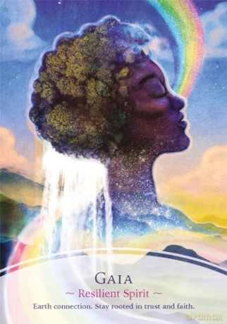 The Divine Masters Oracle: A 44-Card Deck and Guidebook - Kyle Gray [KSIĄŻKA]