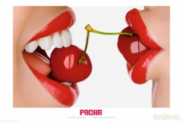 Pacha - Wisienki [PLAKAT]