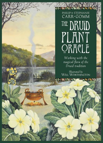 The Druid Plant Oracle: Working with the magical flora of the Druid tradition - Philip Carr-Gomm [KSIĄŻKA]