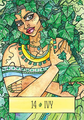 The Earthcraft Oracle: A 44-Card Deck and Guidebook of Sacred Healing - Juliet Diaz [KSIĄŻKA]