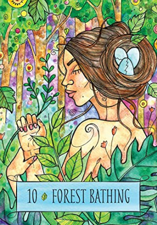 The Earthcraft Oracle: A 44-Card Deck and Guidebook of Sacred Healing - Juliet Diaz [KSIĄŻKA]