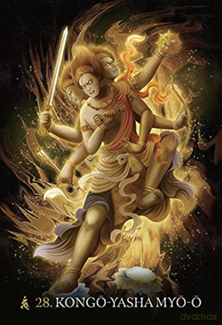 The Esoteric Buddhism of Japan Oracle Cards: 44 colour cards with gold foil and 116-page guidebook set - Yuzui Kotaki [KSIĄŻKA]