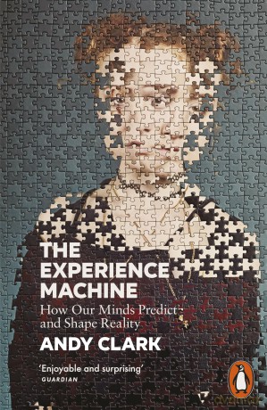 The Experience Machine: How Our Minds Predict and Shape Reality - Andy Clark [KSIĄŻKA]