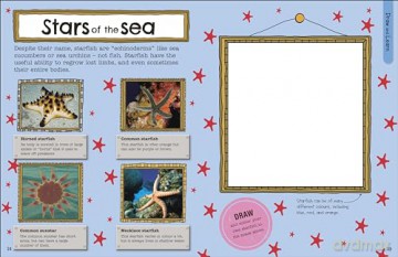 The Fact-Packed Activity Book: Sharks and Other Sea Creatures - Dk [KSIĄŻKA]