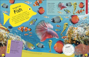 The Fact-Packed Activity Book: Sharks and Other Sea Creatures - Dk [KSIĄŻKA]