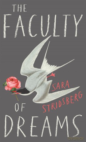 The Faculty of Dreams: Longlisted for the Man Booker International Prize 2019 - Sara Stridsberg [KSIĄŻKA]