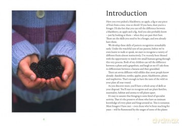 The First-Time Forager: A safety-first guide to edible wild plants (National Trust) - Andy Hamilton [KSIĄŻKA]