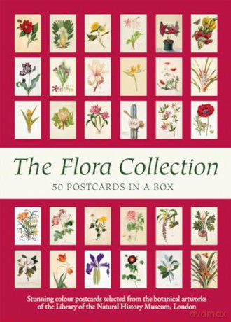 The Flora Collection: Postcards in a Box - The Natural History Museum [KSIĄŻKA]