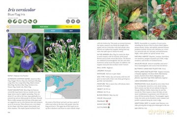 The Gardener's Guide to Native Plants of the Southern Great Lakes Region - Rick Gray [KSIĄŻKA]