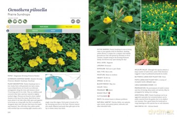 The Gardener's Guide to Native Plants of the Southern Great Lakes Region - Rick Gray [KSIĄŻKA]