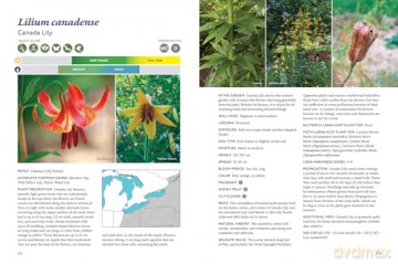 The Gardener's Guide to Native Plants of the Southern Great Lakes Region - Rick Gray [KSIĄŻKA]