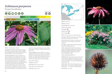The Gardener's Guide to Native Plants of the Southern Great Lakes Region - Rick Gray [KSIĄŻKA]
