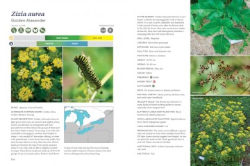 The Gardener's Guide to Native Plants of the Southern Great Lakes Region - Rick Gray [KSIĄŻKA]