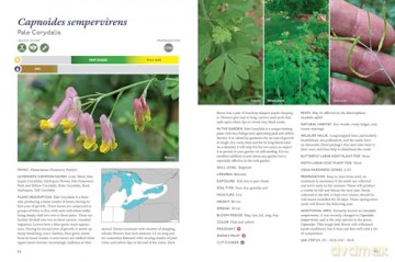 The Gardener's Guide to Native Plants of the Southern Great Lakes Region - Rick Gray [KSIĄŻKA]