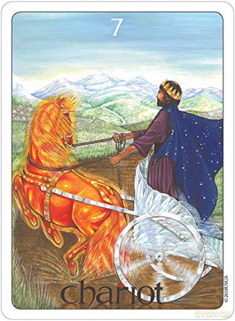 The Gill Tarot - Elizabeth Josephine Gill [KSIĄŻKA]