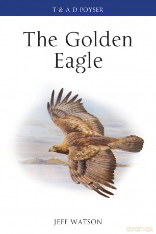 The Golden Eagle (Poyser Monographs) - Jeff Watson [KSIĄŻKA]