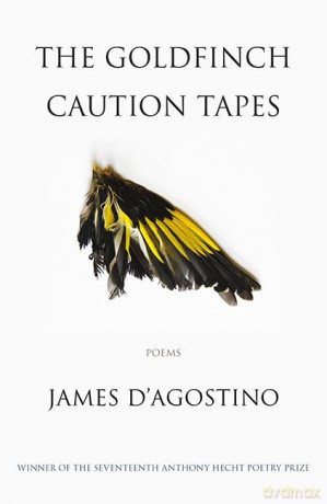 The Goldfinch Caution Tapes: poems - James D'Agostino [KSIĄŻKA]