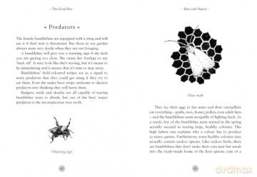 The Good Bee: A Celebration of Bees - And How to Save Them - Alison Benjamin [KSIĄŻKA]