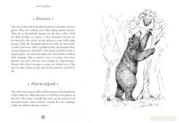 The Good Bee: A Celebration of Bees - And How to Save Them - Alison Benjamin [KSIĄŻKA]