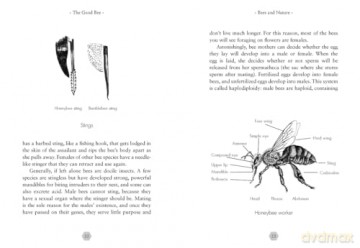The Good Bee: A Celebration of Bees - And How to Save Them - Alison Benjamin [KSIĄŻKA]