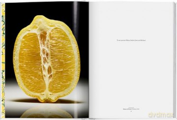The Gourmand's Lemon. A Collection of Stories and Recipes - The Gourmand [KSIĄŻKA]
