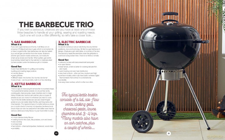 The Great Aussie Barbecue Cookbook: Get your grill on with taste.com.au's complete guide to sizzling recipes - taste.com.au [KSIĄŻKA]
