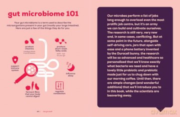 The Gut Stuff: The new gut-health and cookbook to understand your body and transform your gut - Alana Macfarlane [KSIĄŻKA]