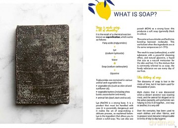 The Handmade Spa: Natural Soaps: Indulge yourself with 16 eco-friendly recipes to make at home - Amélie Boué [KSIĄŻKA]