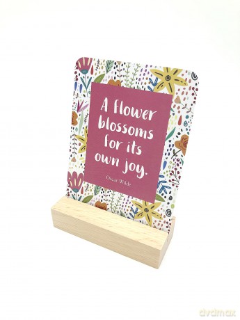 The Happiness Box: 52 Beautiful Cards of Positive Quotes and Inspiring Affirmations to Help You Find Joy [KSIĄŻKA]