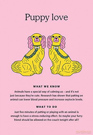 The Happiness Chemicals: Daily Rituals to Activate Joy Naturally - Georgia Perry [KSIĄŻKA]
