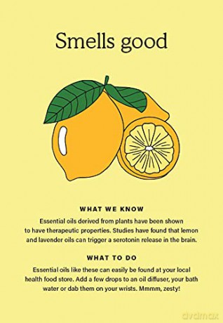 The Happiness Chemicals: Daily Rituals to Activate Joy Naturally - Georgia Perry [KSIĄŻKA]