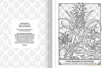 The Happy Houseplant Coloring Book: 50 Plants to Color and Care For: An Indoor Gardening Coloring Book - Caitlin Keegan [KSIĄŻKA]