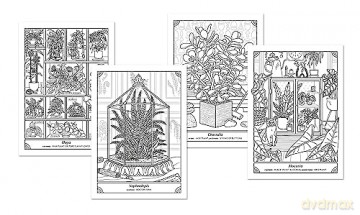 The Happy Houseplant Coloring Book: 50 Plants to Color and Care For: An Indoor Gardening Coloring Book - Caitlin Keegan [KSIĄŻKA]