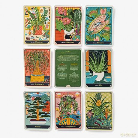 The Happy Houseplant Deck: 50 Cards for Intuitive Plant Care - Caitlin Keegan [KSIĄŻKA]