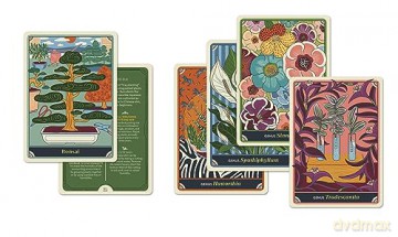 The Happy Houseplant Deck: 50 Cards for Intuitive Plant Care - Caitlin Keegan [KSIĄŻKA]