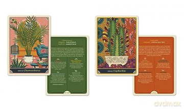 The Happy Houseplant Deck: 50 Cards for Intuitive Plant Care - Caitlin Keegan [KSIĄŻKA]