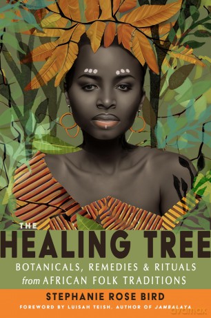 The Healing Tree: Botanicals, Remedies, and Rituals from African Folk Traditions - Stephanie Rose Bird [KSIĄŻKA]