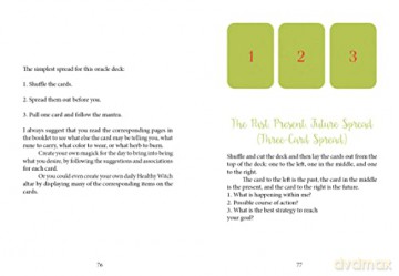 The Healthy Witch Oracle Cards - T. J. Perkins [KSIĄŻKA]
