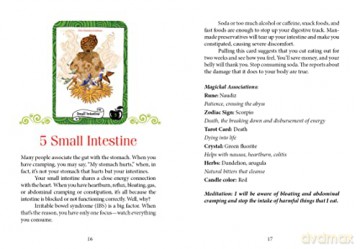 The Healthy Witch Oracle Cards - T. J. Perkins [KSIĄŻKA]