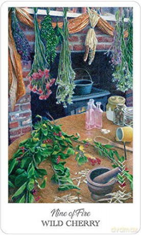 The Herbcrafter's Tarot - Latisha Guthrie [KSIĄŻKA]