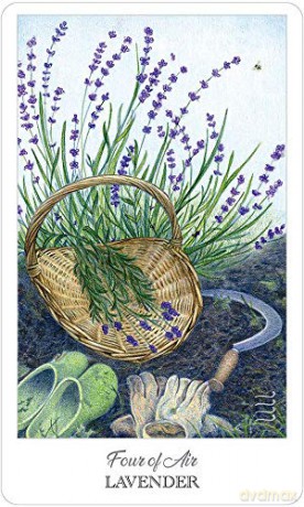 The Herbcrafter's Tarot - Latisha Guthrie [KSIĄŻKA]