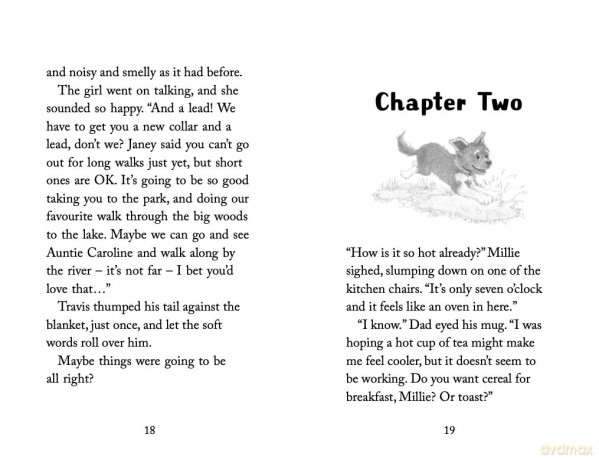 The Hero Puppy (Holly Webb Animal Stories, 58) - Holly Webb [KSIĄŻKA]