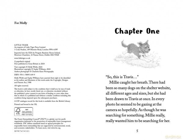 The Hero Puppy (Holly Webb Animal Stories, 58) - Holly Webb [KSIĄŻKA]