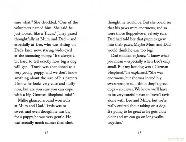 The Hero Puppy (Holly Webb Animal Stories, 58) - Holly Webb [KSIĄŻKA]