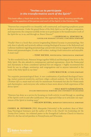 The Holy Spirit in the Christian Life: The Spirit's Work for, in, and through Us - Cheryl M. Peterson [KSIĄŻKA]