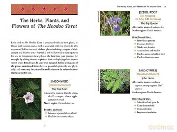 The Hoodoo Tarot Workbook: Rootwork, Rituals, and Divination - Tayannah Lee McQuillar [KSIĄŻKA]