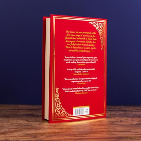 The Household: The highly anticipated, captivating new novel from the author of MRS ENGLAND and THE FAMILIARS - Stacey Halls [KSIĄŻKA]