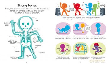 The Human Body Jigsaw (Usborne Book and Jigsaw): 1 - Sam Smith [KSIĄŻKA]