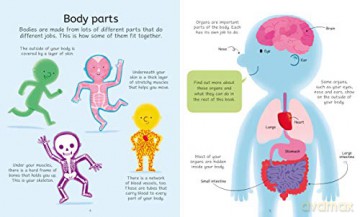 The Human Body Jigsaw (Usborne Book and Jigsaw): 1 - Sam Smith [KSIĄŻKA]